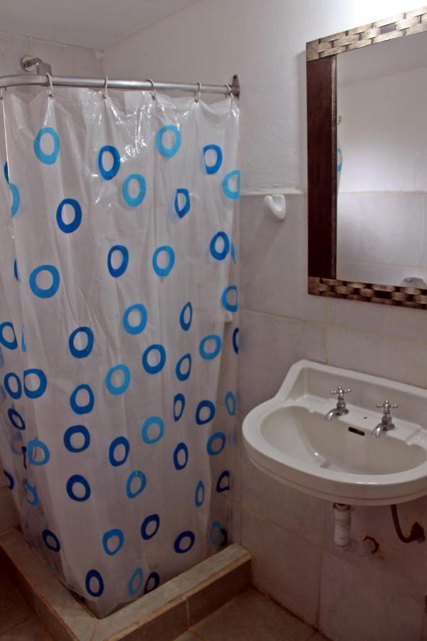 Alhue Patagonia Hostel San Martín de los Andes المظهر الخارجي الصورة